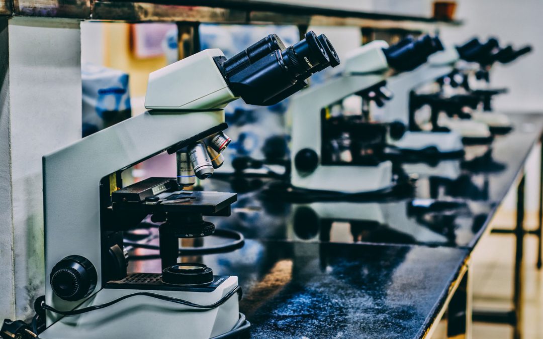 Can Educators Influence the STEM-H Career Pipeline?